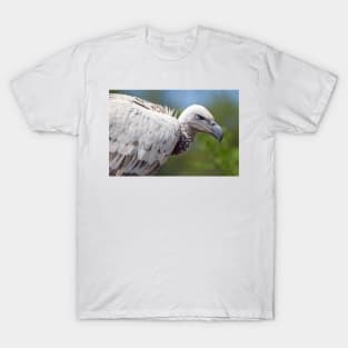 Cape Vulture close-up T-Shirt